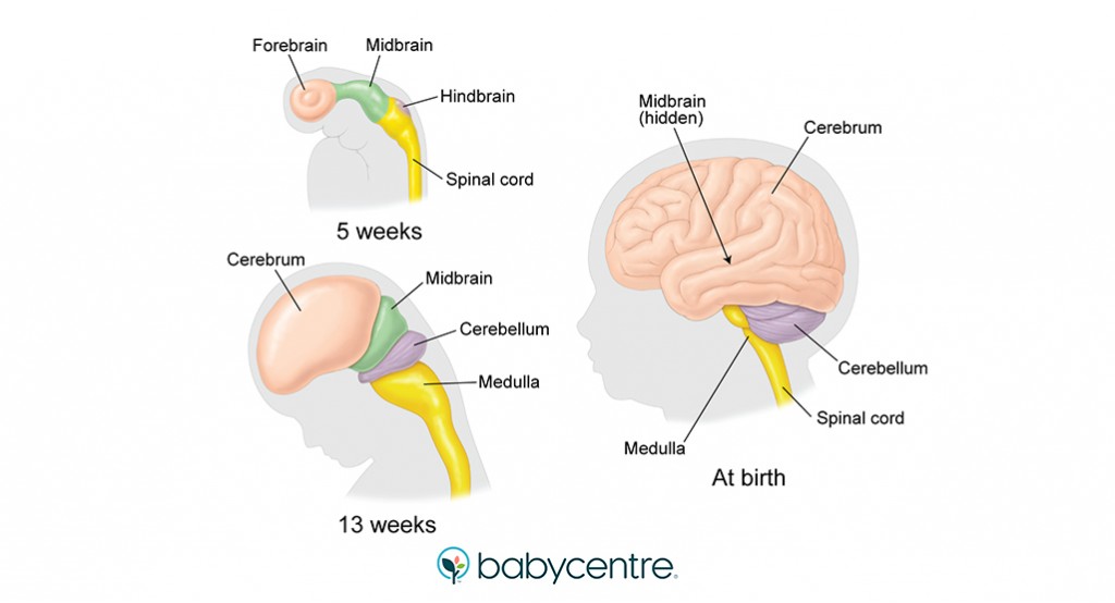 https://hubstatic.com/17011260_f1024.jpg