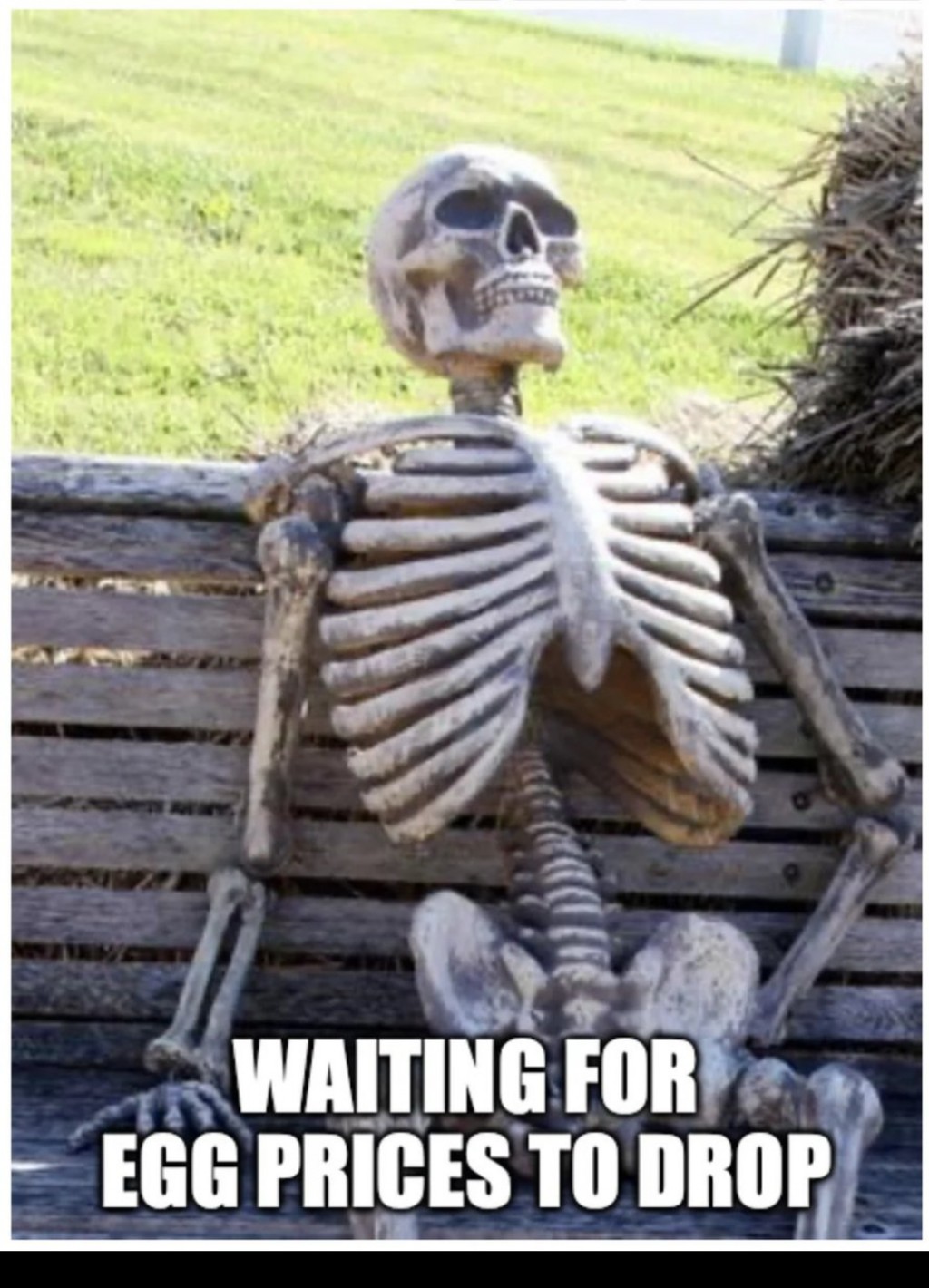 https://hubstatic.com/17349849_f1024.jpg